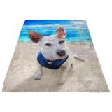 Robyn's Beach Dog