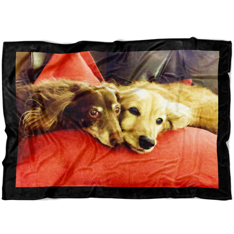 Alison's Pups