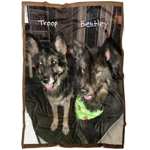 Cory's Dogs