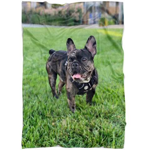 Custom Grass Doggy