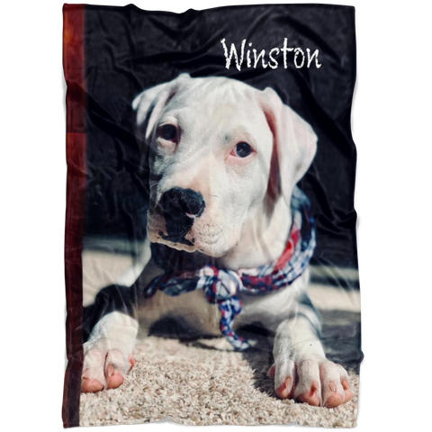 Sweet Winston