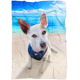 Robyn's Beach Dog