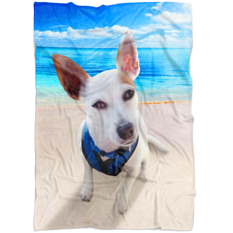 Robyn's Beach Dog